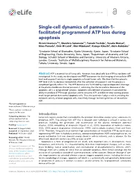 Single-Cell Dynamics of Pannexin-1- Facilitated Programmed ATP Loss