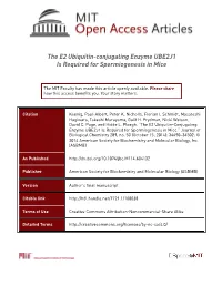 The E2 Ubiquitin-Conjugating Enzyme UBE2J1 Is Required for Spermiogenesis in Mice