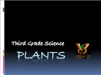 Third Grade Science PLANTS