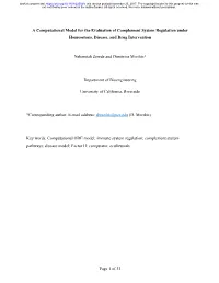 A Computational Model for the Evaluation of Complement System Regulation Under Homeostasis, Disease, and Drug Intervention