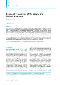 Comparative Anatomy of the Larynx and Related Structures