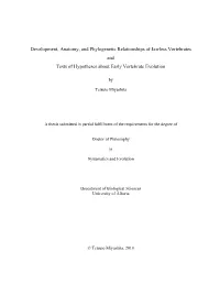 Development, Anatomy, and Phylogenetic Relationships of Jawless Vertebrates and Tests of Hypotheses About Early Vertebrate Evolution