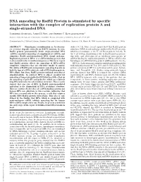 DNA Annealing by Rad52 Protein Is Stimulated by Specific Interaction with the Complex of Replication Protein a and Single-Stranded DNA