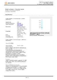 Pcbd1 Antibody - C-Terminal Region Rabbit Polyclonal Antibody Catalog # AI10366