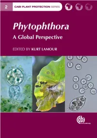 Phytophthora