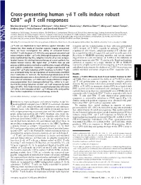 Cross-Presenting Human T Cells Induce Robust CD8 T Cell Responses