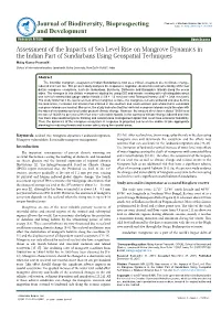 Assessment of the Impacts of Sea Level Rise on Mangrove Dynamics