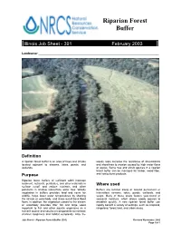 Riparian Forest Buffer
