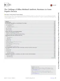 The Challenge of Efflux-Mediated Antibiotic Resistance in Gram- Negative Bacteria