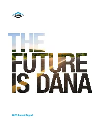 2020 Annual Report Vision