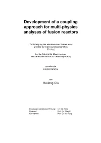 Development of a Coupling Approach for Multi-Physics Analyses of Fusion Reactors