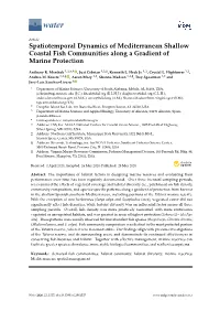 Spatiotemporal Dynamics of Mediterranean Shallow Coastal Fish Communities Along a Gradient of Marine Protection