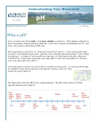 Understanding Your Watershed- What Is