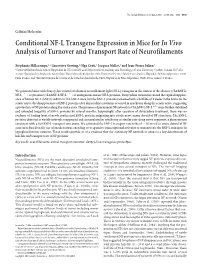 Conditional NF-L Transgene Expression in Mice Forin Vivo Analysis of Turnover and Transport Rate of Neurofilaments