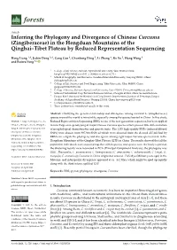 Inferring the Phylogeny and Divergence of Chinese Curcuma (Zingiberaceae) in the Hengduan Mountains of the Qinghai–Tibet Plateau by Reduced Representation Sequencing