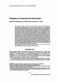 Phylogenies of Flying Squirrels (Pteromyinae)