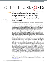 Seasonality and Brain Size Are Negatively Associated in Frogs