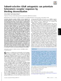 Subunit-Selective Iglur Antagonists Can Potentiate Heteromeric Receptor Responses by Blocking Desensitization