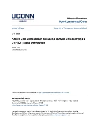 Altered Gene Expression in Circulating Immune Cells Following a 24-Hour Passive Dehydration