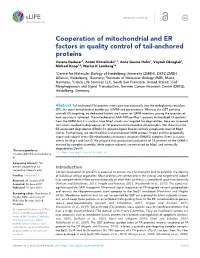 Cooperation of Mitochondrial and ER Factors in Quality Control of Tail