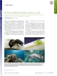 Do Hosts and Their Microbes Evolve As a Unit? NEWS FEATURE a Group of Evolutionary Biologists Sees Evidence for a Hologenome Whereas Others Dismiss It Entirely