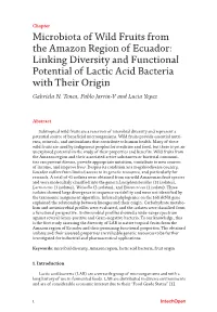 Linking Diversity and Functional Potential of Lactic Acid Bacteria with Their Origin Gabriela N