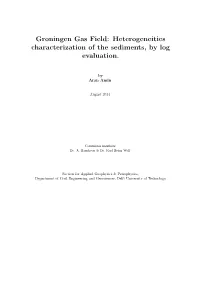 Groningen Gas Field: Heterogeneities Characterization of the Sediments, by Log Evaluation