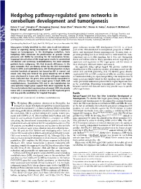 Hedgehog Pathway-Regulated Gene Networks in Cerebellum Development and Tumorigenesis