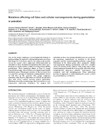 Mutations Affecting Cell Fates and Cellular Rearrangements During Gastrulation in Zebraﬁsh