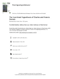 The 'Root-Brain' Hypothesis of Charles and Francis Darwin
