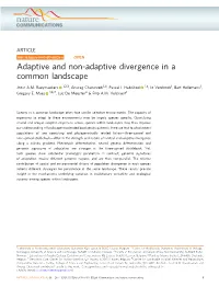 Adaptive and Non-Adaptive Divergence in a Common Landscape