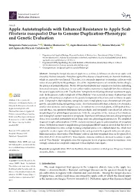 Apple Autotetraploids with Enhanced Resistance to Apple Scab (Venturia Inaequalis) Due to Genome Duplication-Phenotypic and Genetic Evaluation