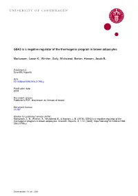 GSK3 Is a Negative Regulator of the Thermogenic Program in Brown Adipocytes