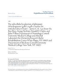 Is Gdh a Marker for Mitochondria in Brain? / James C
