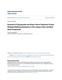 Reversal of P-Glycoprotein and Breast Cancer Resistance Protein Mediated Multidrug Resistance in Vitro Using in Silico Identified Novel Compounds