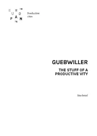 Guebwiller the Stuff of a Productive Vity