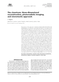 The Claustrum: Three-Dimensional Reconstruction, Photorealistic Imaging, and Stereotactic Approach