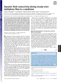 Dynamic Fluid Connectivity During Steady-State Multiphase Flow in A