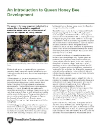 An Introduction to Queen Honey Bee Development