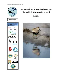 Pan-American Shorebird Program Shorebird Marking Protocol