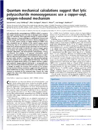 Quantum Mechanical Calculations Suggest That Lytic Polysaccharide Monooxygenases Use a Copper-Oxyl, Oxygen-Rebound Mechanism