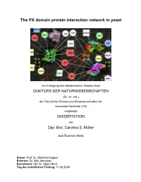 The PX Domain Protein Interaction Network in Yeast