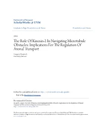 The Role of Kinesin-2 in Navigating Microtubule Obstacles: Implications for the Regulation of Axonal Transport Gregory Hoeprich University of Vermont