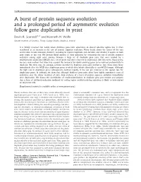 A Burst of Protein Sequence Evolution and a Prolonged Period of Asymmetric Evolution Follow Gene Duplication in Yeast