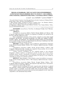 Historical Background of the Trust