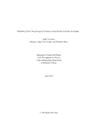 Rethinking Pelvic Morphological Variation and Its Relation to Parturition Status