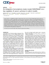 An Integrative Transcriptome Study Reveals Ddit4/Redd1 As a Key Regulator of Cancer Cachexia in Rodent Models