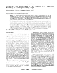 Architecture and Conservation of the Bacterial DNA Replication Machinery, an Underexploited Drug Target
