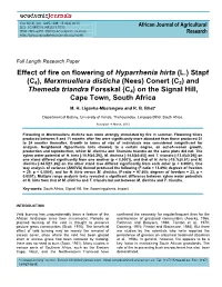 Effect of Fire on Flowering of Hyparrhenia Hirta (L.) Stapf (C4)