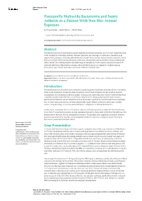 Pasteurella Multocida Bacteremia and Septic Arthritis in a Patient with Non-Bite Animal Exposure